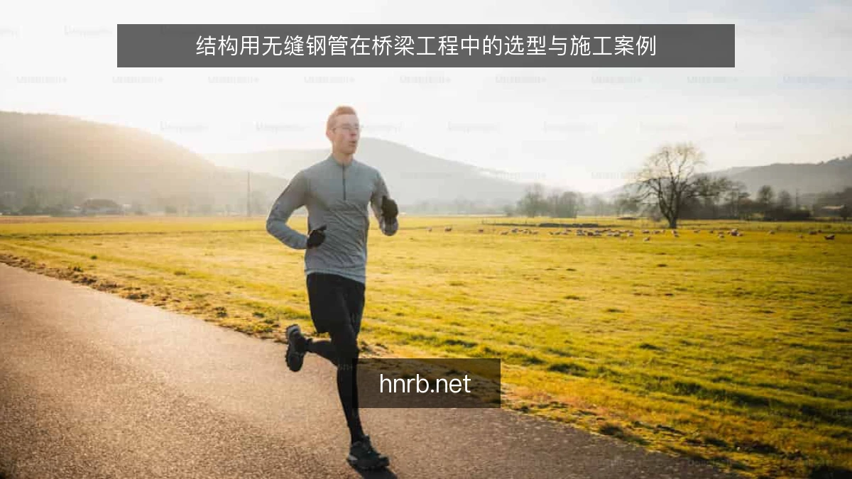 结构用无缝钢管在桥梁工程中的选型与施工案例