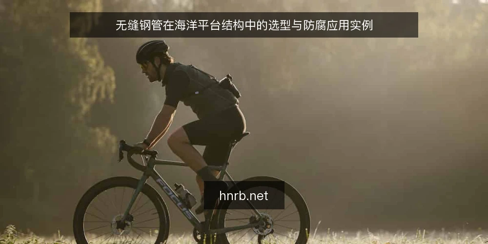 无缝钢管在海洋平台结构中的选型与防腐应用实例 — 海洋平台对无缝钢管的性能要求 配图