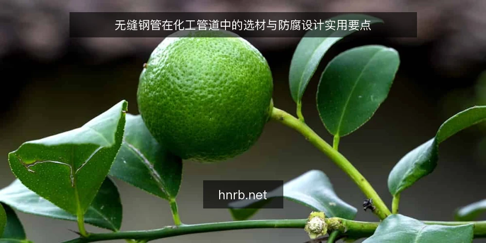 无缝钢管在化工管道中的选材与防腐设计实用要点 — 一、化工管道工况对无缝钢管的基本要求 配图